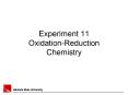 Experiment 11 Oxidation-Reduction Chemistry