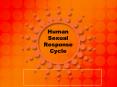 Human Sexual Response Cycle