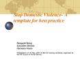 Stop Domestic Violence A template for best practice