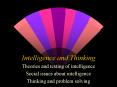 Intelligence and Thinking