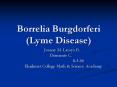 Borrelia Burgdorferi Lyme Disease