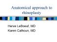 Anatomical approach to rhinoplasty