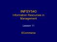 INFSY540 Information Resources in Management