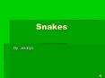 Snakes