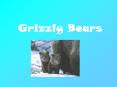 Grizzly Bears