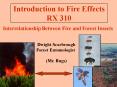 Introduction to Fire Effects