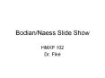 Bodian/Naess Slide Show