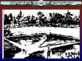 HISTORY OF AMERICAN SPORT