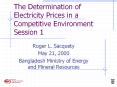 The Determination of Electricity Prices in a Competitive Environment Session 1