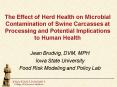 The Effect of Herd Health on Microbial Contamination of Swine Carcasses at Processing and Potential