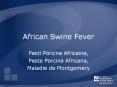 African Swine Fever