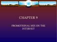 PROMOTIONAL MIX ON THE INTERNET