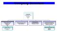 Company Structure