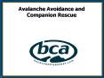 Avalanche Avoidance and Companion Rescue