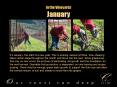 Its January, the start of a new year. This is pruning season at Cline. Vine shearing takes center st