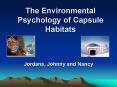 The Environmental Psychology of Capsule Habitats