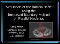Simulation of the Human Heart Using the Immersed Boundary Method on Parallel Machines