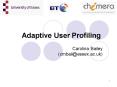 Adaptive User Profiling