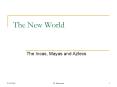 The New World