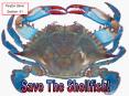 Save The Shellfish
