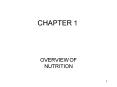 OVERVIEW OF NUTRITION