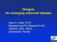 Dengue: An emerging arboviral disease