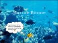 Marine Biome