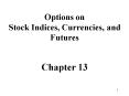 Options on Stock Indices, Currencies, and Futures Chapter 13