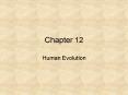 Human Evolution