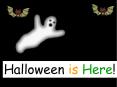 Halloween is Here
