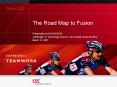 The Road Map to Fusion
