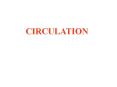 Nerve activates contraction