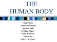 THE HUMAN BODY