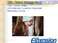 Why Direct Market Meat Keith Vander Velde UW Extension Livestock Specialist Marquette County