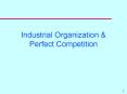 Industrial Organization