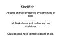 Shellfish