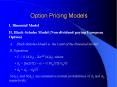 Option Pricing Models