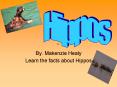 Learn the facts about Hippos