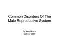 Common Disorders Of The Male Reproductive System