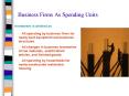 Business Firms As Spending Units