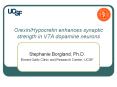 OrexinHypocretin enhances synaptic strength in VTA dopamine neurons