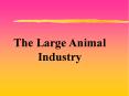 The Large Animal Industry