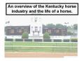 An overview of the Kentucky horse industry and the life of a horse.