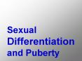 Sexual Differentiation and Puberty