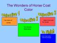 The Wonders of Horse Coat Color