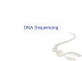 DNA Sequencing