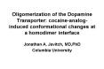 Oligomerization of the Dopamine Transporter: cocaineanaloginduced conformational changes at a homodi