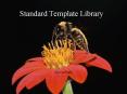 Standard Template Library