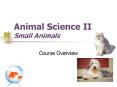 Animal Science II Small Animals