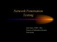 Network Penetration Testing